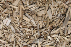 biomass boilers Blagill